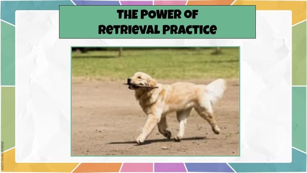 Dog running outdoors with the words “The Power of Retrieval Practice” displayed on the image.